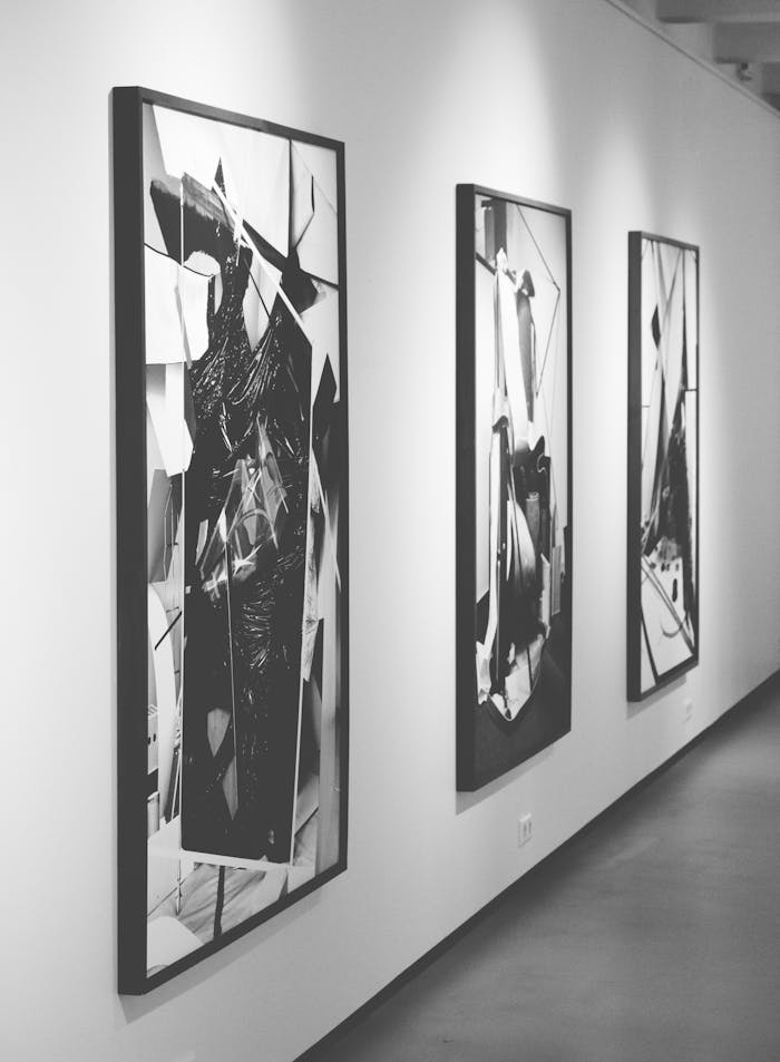 Monochrome abstract paintings on display in a modern art gallery.